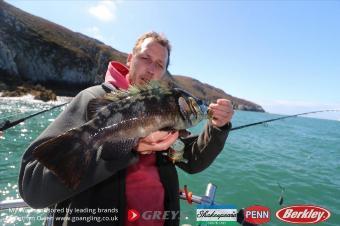 2 lb Ballan Wrasse by Mark