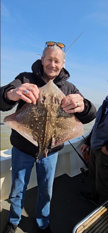 4 lb Thornback Ray by Kevin