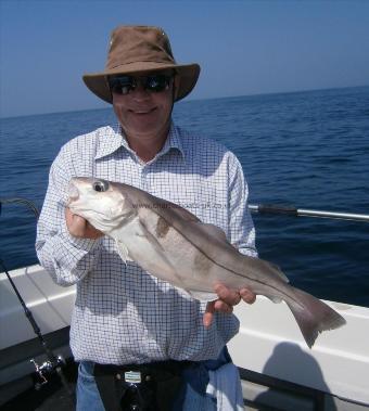 4 lb Haddock by Unknown