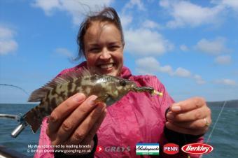 1 lb Ballan Wrasse by Emily