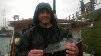 2 lb 8 oz Mackerel by Unknown