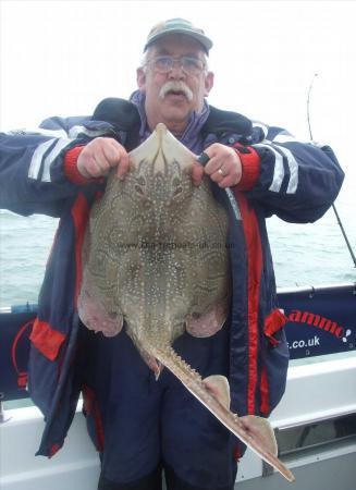 17 lb Undulate Ray by Trevor Curtis