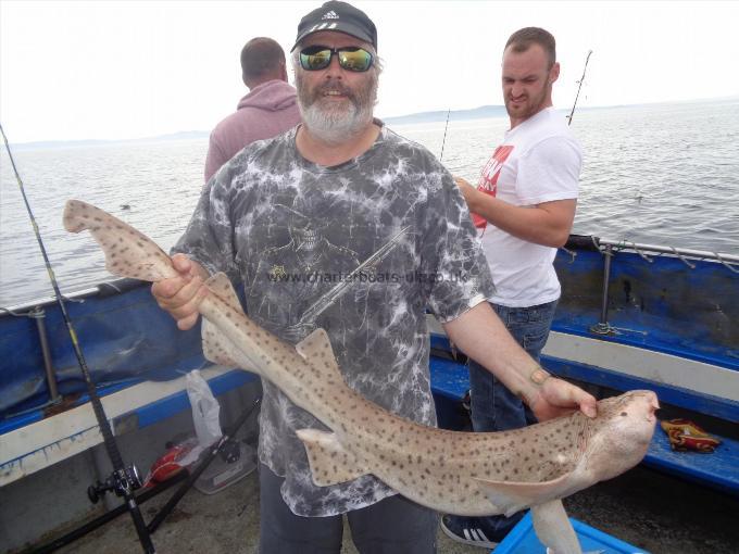 15 lb 4 oz Bull Huss by caught by donald with many more