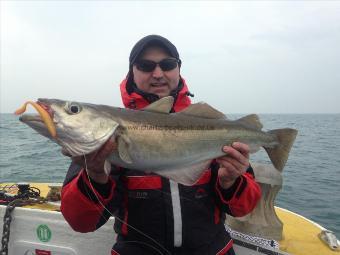 11 lb 12 oz Pollock by Marian