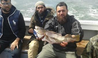 4 lb 6 oz Cod by Unknown