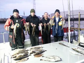 2 lb Cod by 11th Oct Trip. 33 Keepers