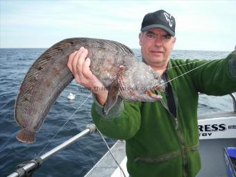 4 lb 8 oz Wolf Fish by Chris Beardsley - Grimsby