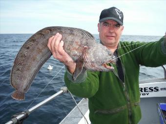 4 lb 8 oz Wolf Fish by Chris Beardsley - Grimsby