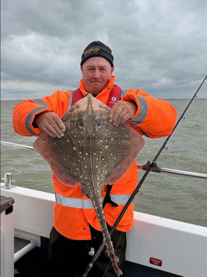 7 lb 8 oz Thornback Ray by Derrick