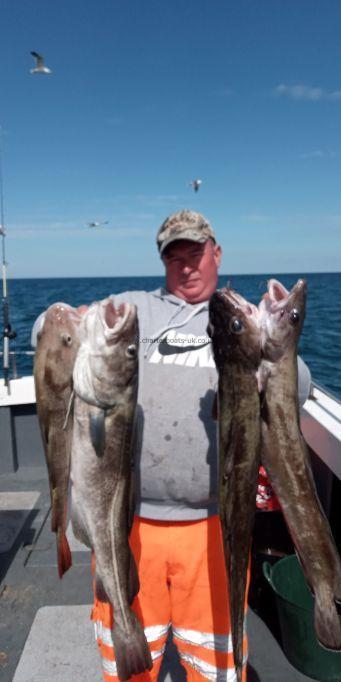 12 lb Cod by chris