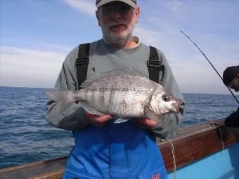 3 lb 9 oz Black Sea Bream by Unknown