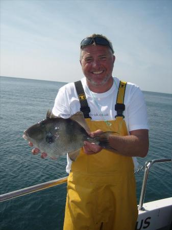 2 lb 12 oz Trigger Fish by John wright