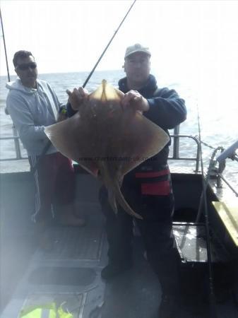 15 lb Blonde Ray by Trever