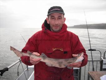 2 lb 8 oz Lesser Spotted Dogfish by Darren from Lincolnshire