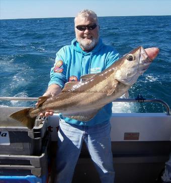 14 lb Pollock by Phil