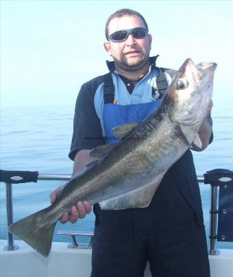 11 lb 8 oz Pollock by Terry Hickman