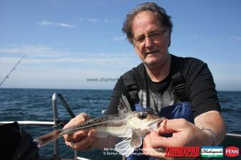 1 lb Grey Gurnard by Mike