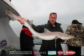 14 lb Starry Smooth-hound by Mark