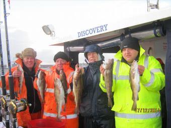 3 lb Cod by Unknown