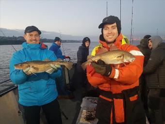 18 lb 3 oz Cod by Unknown