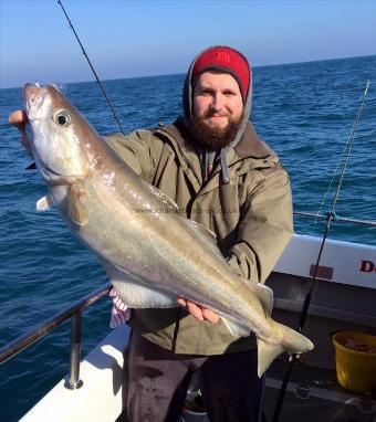 13 lb 4 oz Pollock by Liam