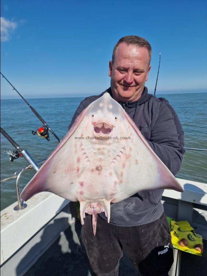 11 lb Thornback Ray by Russ