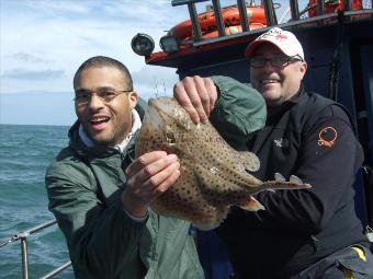 3 lb Spotted Ray by Unknown