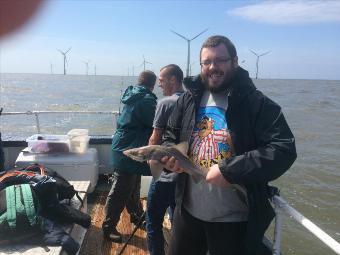 5 lb Smooth-hound by Unknown