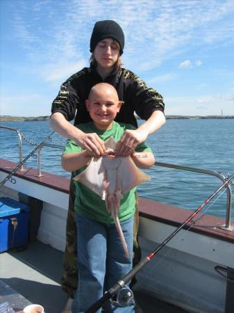 5 lb Blonde Ray by Unknown