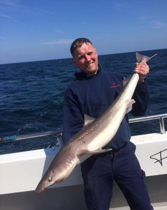 16 lb 2 oz Spurdog by Alan (Post Man Pat)