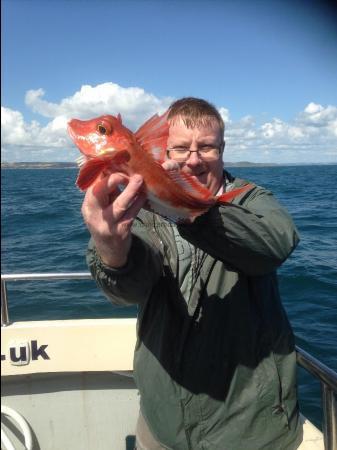 1 lb 6 oz Red Gurnard by Unknown