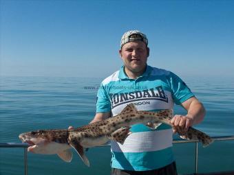 12 lb Bull Huss by Ger Tatws