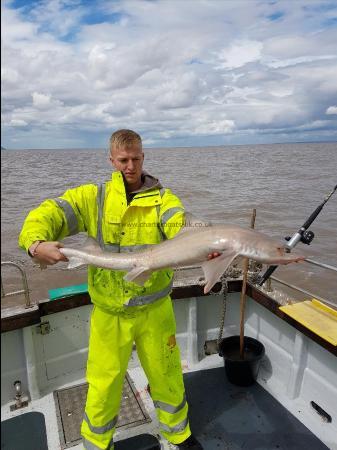 12 lb Smooth-hound by James