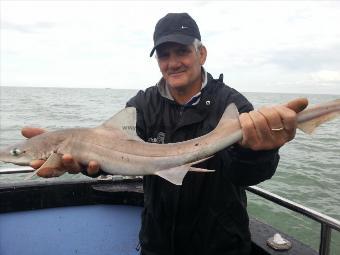 7 lb 3 oz Starry Smooth-hound by Brazilen Boys