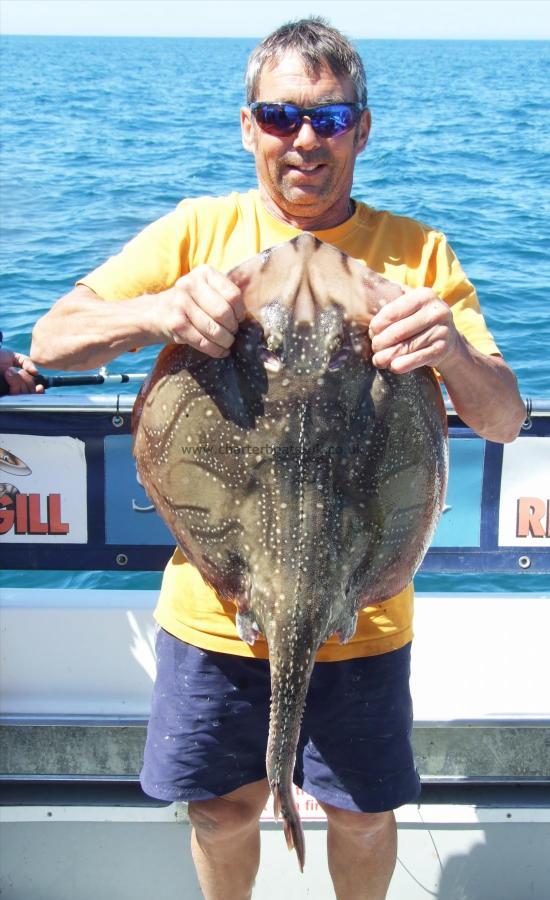 13 lb 8 oz Undulate Ray by Tim Goble