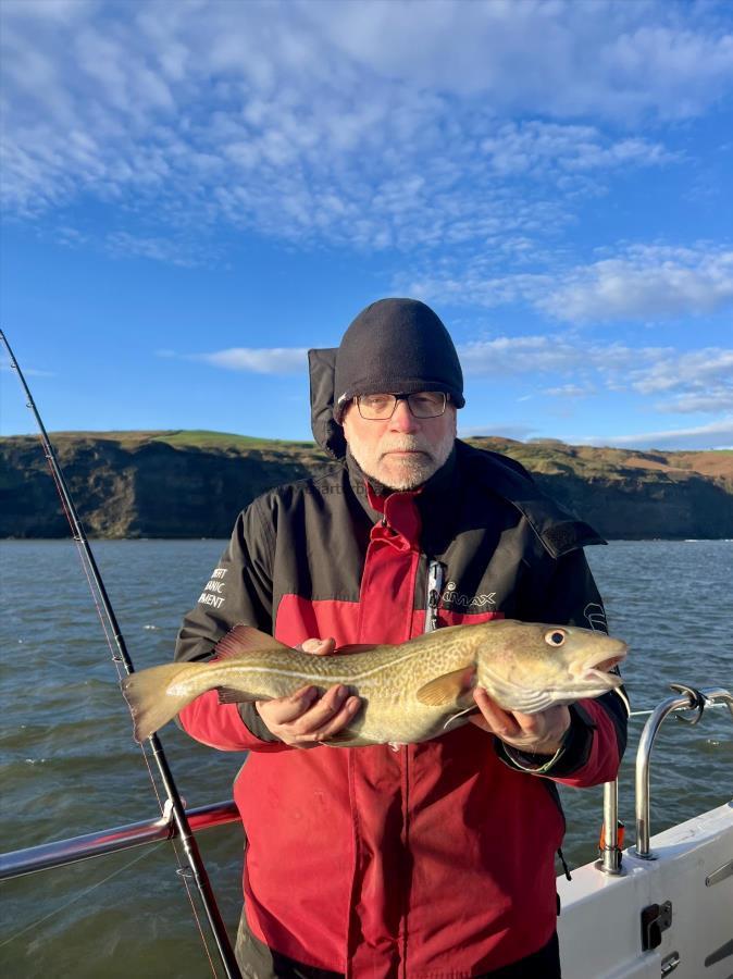 4 lb Cod by Mike Channing