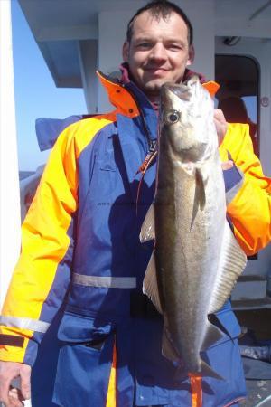 8 lb 4 oz Pollock by Tim