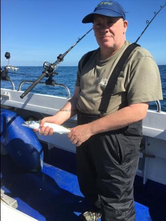 1 lb 4 oz Mackerel by John