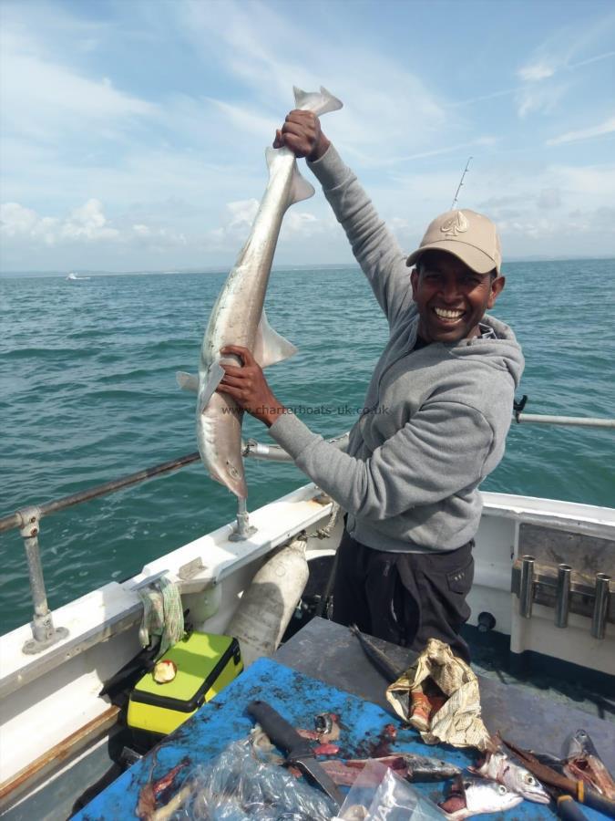 6 lb Smooth-hound by Unknown