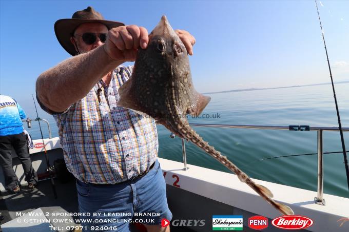 4 lb Thornback Ray by Pete