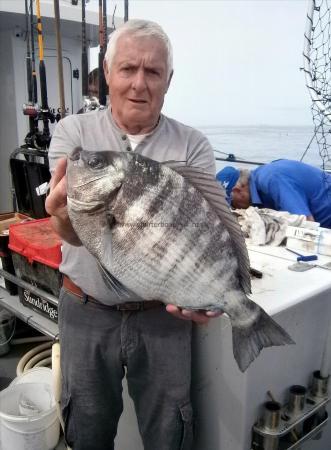 6 lb 10 oz Black Sea Bream by Terry