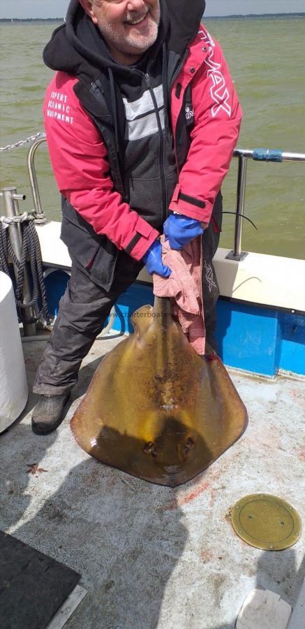 43 lb Stingray (Common) by Unknown