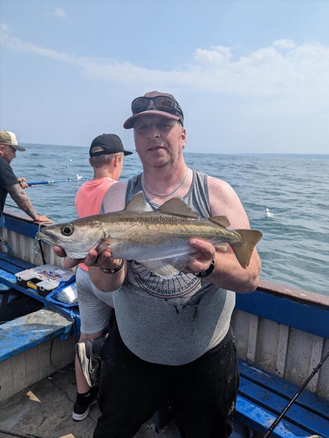 3 lb 7 oz Pollock by Unknown