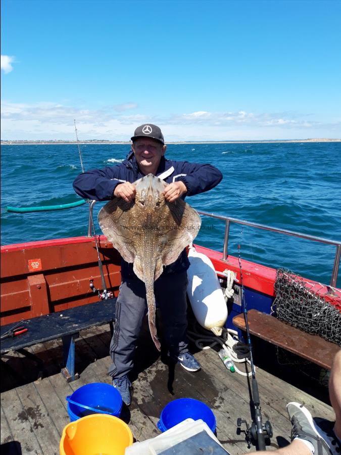 13 lb Undulate Ray by Loyal Angler Chris Saville from Swindon