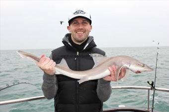 5 lb Starry Smooth-hound by Pete