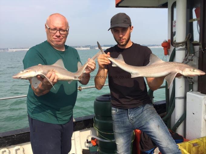4 lb Smooth-hound by Unknown