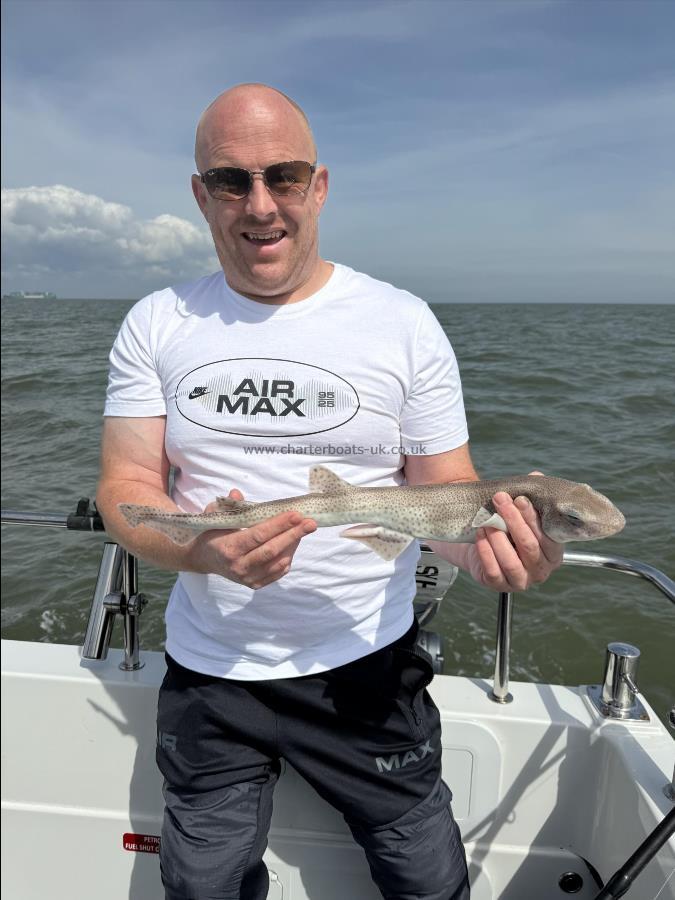 2 lb Lesser Spotted Dogfish by Will