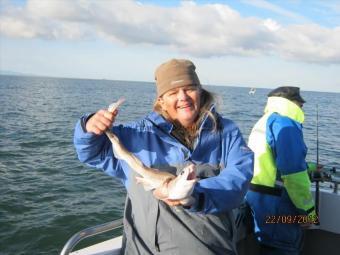 1 lb 6 oz Lesser Spotted Dogfish by Unknown