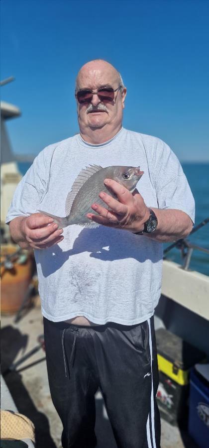1 lb 2 oz Black Sea Bream by Stan the man