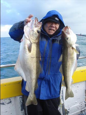 17 lb 8 oz Pollock by Johny